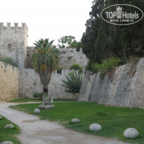 фото из отзыва ID 427788