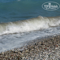 фото из отзыва ID 427864