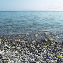 фото из отзыва ID 428066