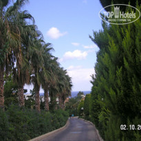 фото из отзыва ID 428429