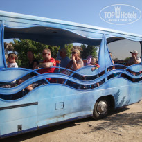 фото из отзыва ID 428458