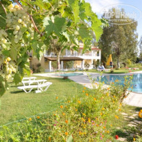 фото из отзыва ID 428731