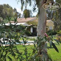 фото из отзыва ID 428731