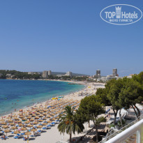 фото из отзыва ID 428884