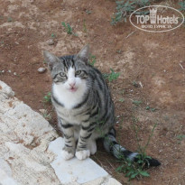 фото из отзыва ID 428894