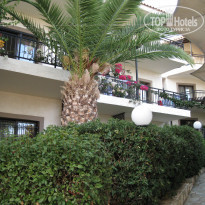 фото из отзыва ID 428894