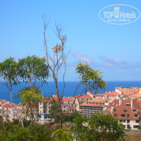 фото из отзыва ID 429053