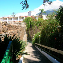 фото из отзыва ID 429053