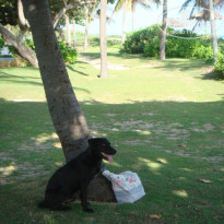 фото из отзыва ID 429276