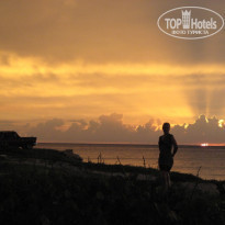 фото из отзыва ID 429276