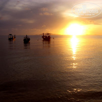 фото из отзыва ID 429308