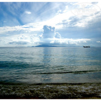 фото из отзыва ID 429308