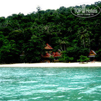 фото из отзыва ID 429308