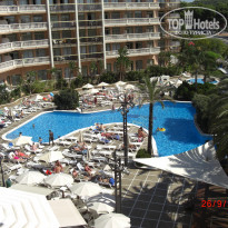 фото из отзыва ID 429437