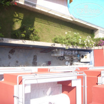 фото из отзыва ID 429469