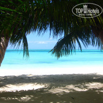 фото из отзыва ID 429680