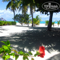 фото из отзыва ID 429680