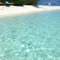 фото из отзыва ID 429680