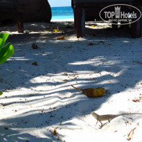 фото из отзыва ID 429680