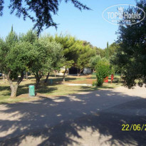 фото из отзыва ID 43026