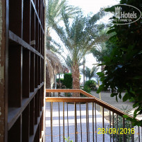 фото из отзыва ID 430243