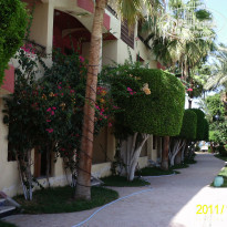 фото из отзыва ID 430243