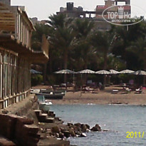 фото из отзыва ID 430243