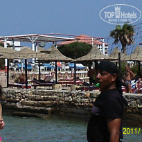 фото из отзыва ID 430243