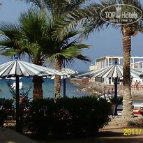 фото из отзыва ID 430243