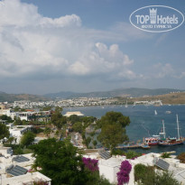 фото из отзыва ID 430473