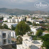 фото из отзыва ID 430473