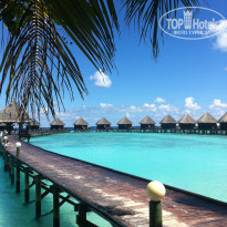 фото из отзыва ID 430559