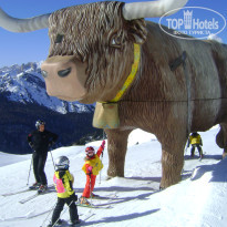 фото из отзыва ID 430939