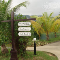 фото из отзыва ID 431105