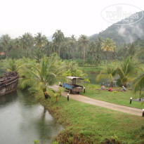 фото из отзыва ID 431105