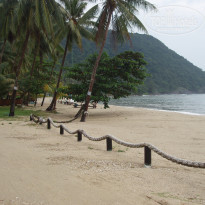 фото из отзыва ID 431105