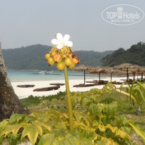 фото из отзыва ID 431176