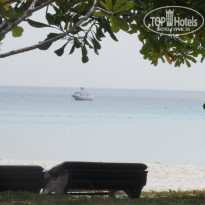 фото из отзыва ID 431176