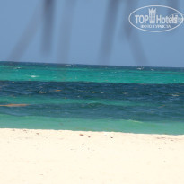 фото из отзыва ID 431184