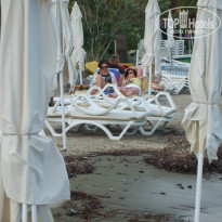 фото из отзыва ID 431252