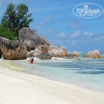 фото из отзыва ID 431257