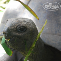 фото из отзыва ID 431257