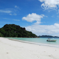 фото из отзыва ID 431257