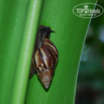 фото из отзыва ID 431257