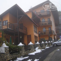 фото из отзыва ID 431285