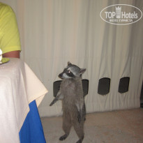 фото из отзыва ID 431404