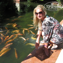 фото из отзыва ID 431404