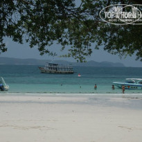 фото из отзыва ID 431425