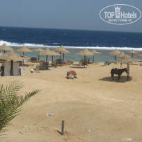 фото из отзыва ID 431644