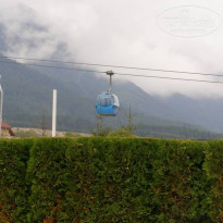 фото из отзыва ID 431717